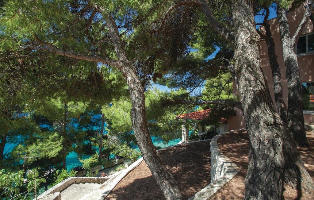 Beautiful Apartment By The Sea Prižba Dış mekan fotoğraf