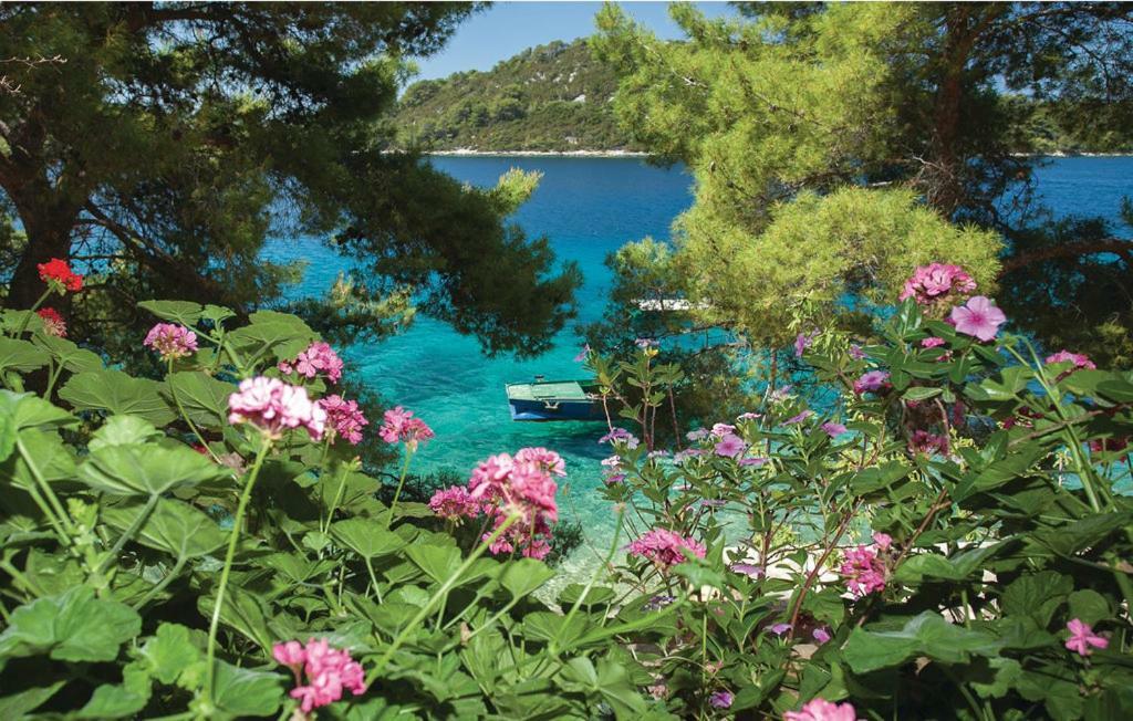 Beautiful Apartment By The Sea Prižba Dış mekan fotoğraf